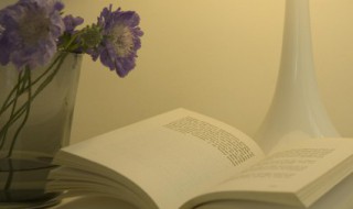 古诗二首池上解释（《古诗二首》池上）