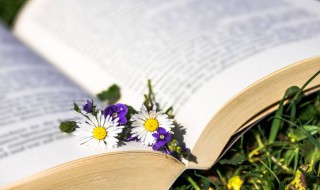 岁岁年年万喜万般宜出自哪（岁岁年年万喜万般宜意思）