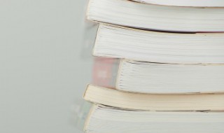 田园诗名词解释（田园诗名词解释英文）