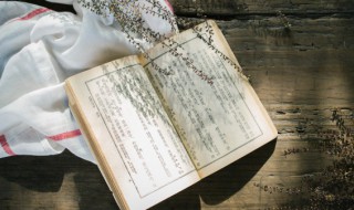 古诗风李峤带拼音解释（李峤的古诗风全文带拼音）