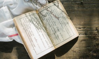 哥舒歌古诗拼音和解释 哥舒歌注音版作者和诗句都有注音