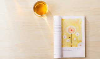 春天是一本书赏析 春天是什么样的一本书