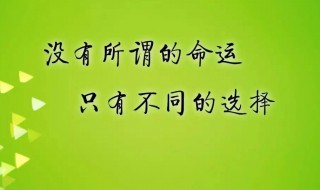 好句大全（好句大全摘抄）