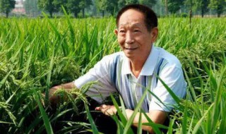 纪念袁隆平作文 纪念袁隆平作文600字