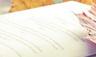 引吭大叫的解释（引吭大叫的解释意思）