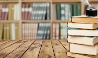 内环境名词解释（护理内环境名词解释）