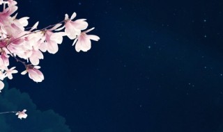 朦胧诗派名词解释（朦胧诗派名词解释）