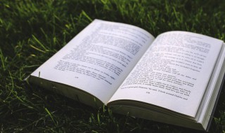 乡村四月古诗的解释 乡村四月古诗解释视频