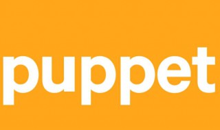 puppet什么意思中文