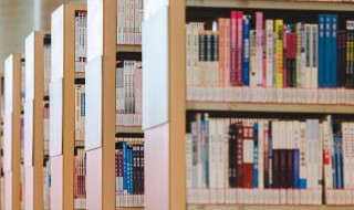 字的意思 字字珠玑的意思