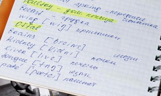 america是什么意思 america是什么意思英语