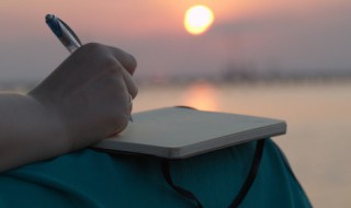 书法字体有哪些（书法字体有哪些种类图片）