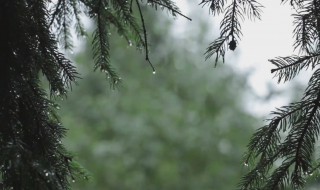 白噪音是什么意思（自然白噪音是什么意思）