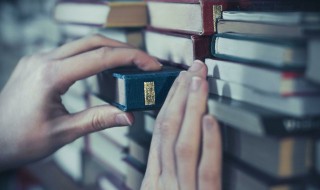 凡尔纳的简介 凡尔纳的简介100字