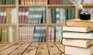 子夜简介（茅盾子夜简介）