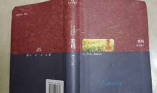 爱玛小说简介 爱玛小说简介内容