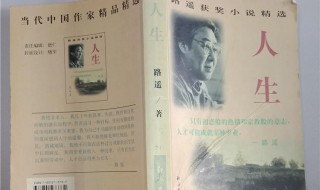 小说人生简介（小说人生简介500字）