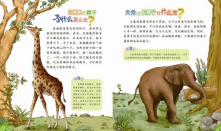 十万个为什么作者简介（十万个为什么作者简介20字）