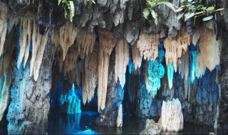 石钟乳是什么意思（石钟乳是什么意思解释）