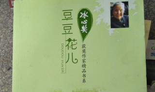 作者豆豆简介 豆豆作者怎么消失了