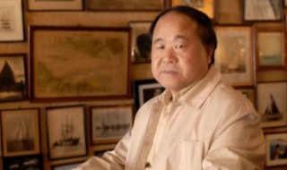 莫言作品丰乳肥臀简介