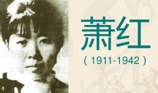萧红的简介和作品（萧红的简介和作品 红披肩）