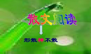 形散神不散怎样赏析（形散神也散）