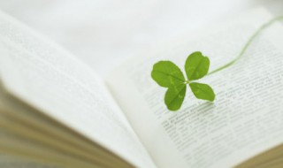 跟进是什么意思 监督跟进是什么意思