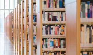 闪烁的意思是什么（时光闪烁的意思是什么）