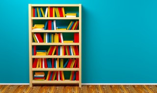 苏修是什么意思（cp苏修是什么意思）