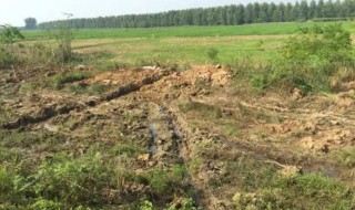 水来土掩兵来将挡是什么意思 兵来将挡水来土掩下一句是啥