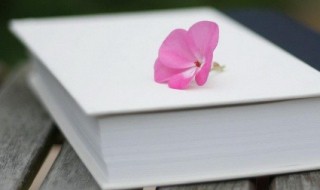 品学兼优的意思（品学兼优和三好学生哪个好）