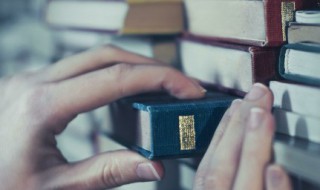 多此一举的意思（画蛇添足的意思）