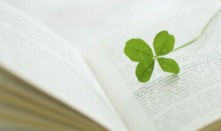 一动不动的意思（一动不动的意思解释词语）