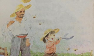 祖父是什么意思（祖宗十八代称呼大全图）