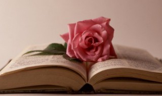 身临其境临是什么意思 身临其境是什么意思呢原意是什么