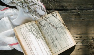 advanced是什么意思（拳皇advanced是什么意思）