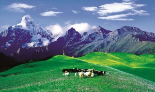 幅员辽阔的意思 幅员辽阔的意思解释