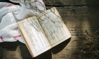 由此及彼意思（由此及彼意思的成语）