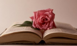 搔首弄姿的意思（搔首弄姿的意思和拼音）