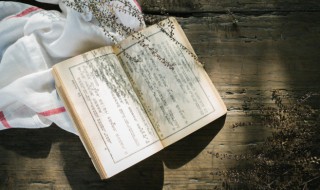 合情合理意思 合情合理意思是什么