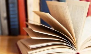 爱民如子意思 爱民如子下一句是什么