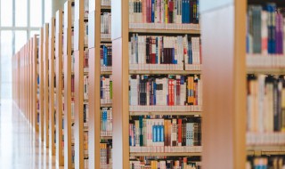 别有风趣意思（别有风趣意思解释）