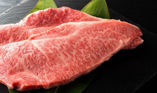 天上龙肉地上驴肉什么意思（驴肉价格2023）