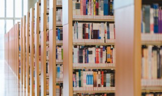 柔肠百结意思（柔肠百转是成语吗）