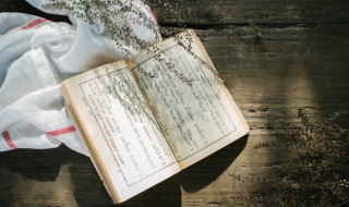 不屈不挠的近义词（不屈不挠的近义词是什么 标准答案）