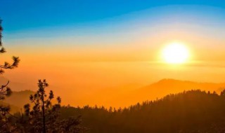 早晨的近义词（添的近义词）