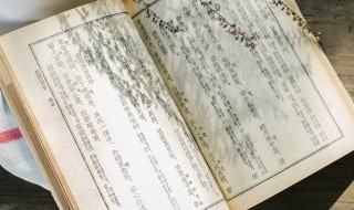 沉郁的近义词 沉郁的近义词和反义词