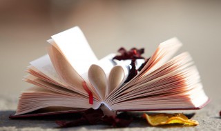 旅行的近义词 旅行的近义词是什么 标准答案