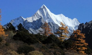青海海拔高度是多少米（青海海拔高度是多少米高）